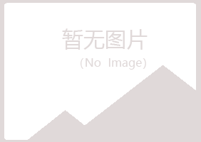 象山区伤口能源有限公司